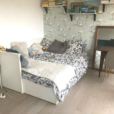Appartement Lumineux 2 Chambres Ciboure Bagian luar foto